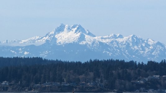 PXL_20240314_210909297.MP-.jpg