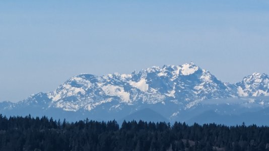 PXL_20240314_210853941.MP-.jpg