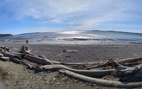 PXL_20240314_210046479.PANO.jpg