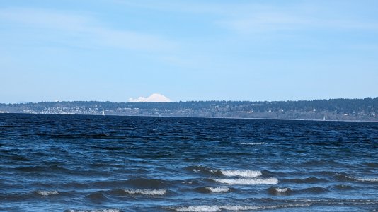 PXL_20240314_211703013.MP-.jpg