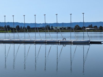 PXL_20240308_214921421.jpg