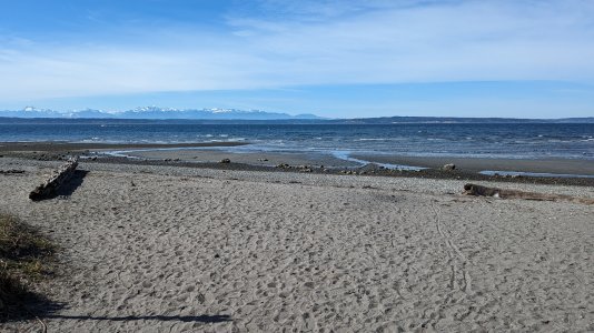 PXL_20240315_213710739.MP-.jpg