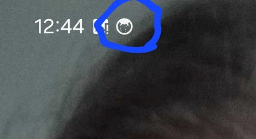 1000023292.jpg
