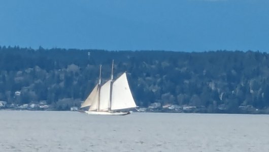 PXL_20240321_205950642.MP-.jpg