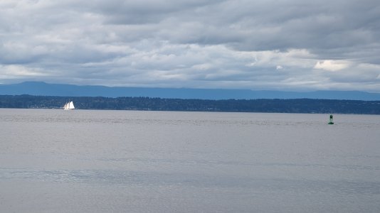 PXL_20240321_205935247.MP-.jpg