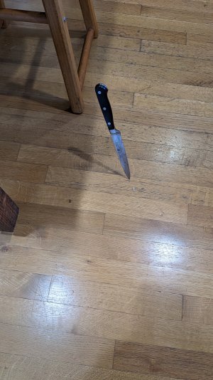 1000017729-.jpg