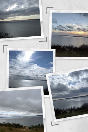 IMG_20191119_142505-COLLAGE.jpg