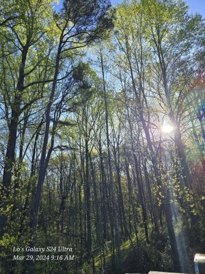20240329_091617.jpg