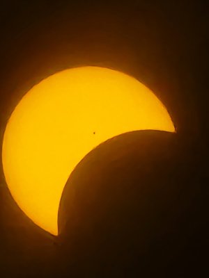 20240408_143110.jpg
