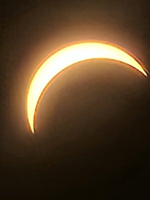 20240408_145737.jpg