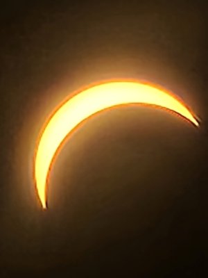 20240408_145746.jpg