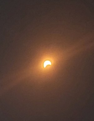 20240408_132918.jpg