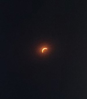 20240408_135206.jpg