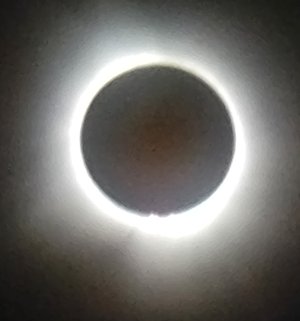 20240408_140427.jpg
