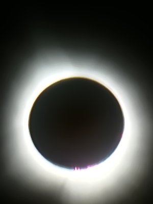20240408_140501.jpg