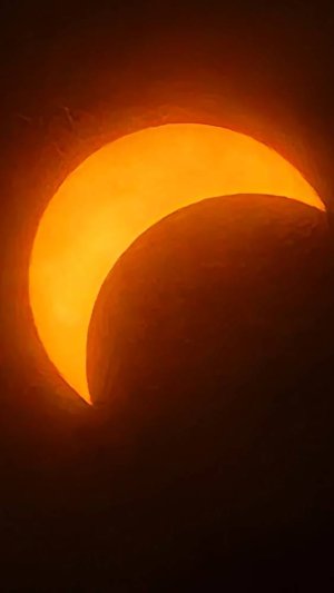 20240408_150406.jpg