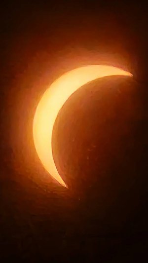 20240408_151422.jpg