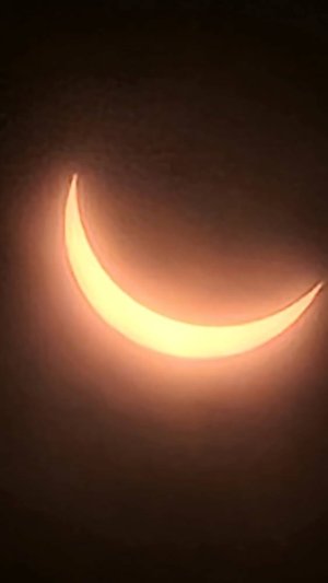 20240408_153346.jpg