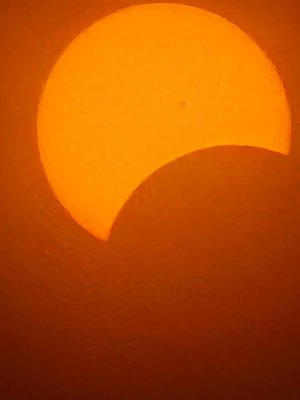 20240408_144137.jpg