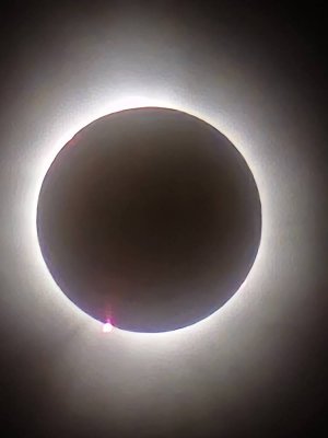 20240408_152702.jpg