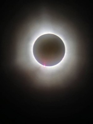 20240408_152758.jpg