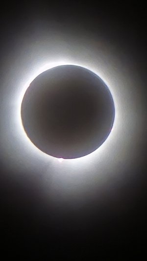1000043780.jpg