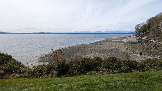 PXL_20240410_213726162.MP--.jpg