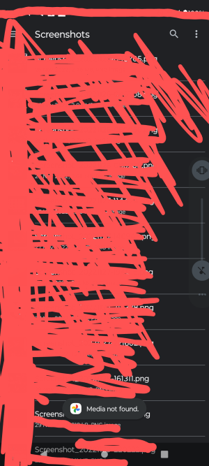 Screenshot_20240411-124734~2.png