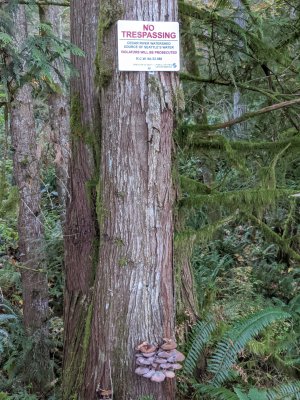 IMG_20201102_101711.jpg