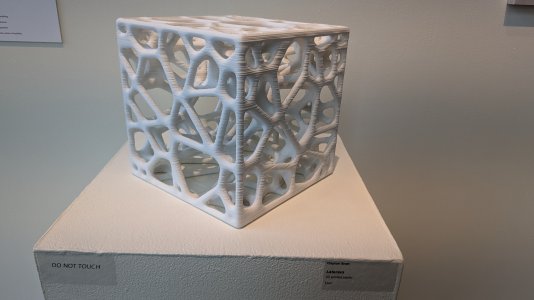 PXL_20240416_181224136.MP.jpg