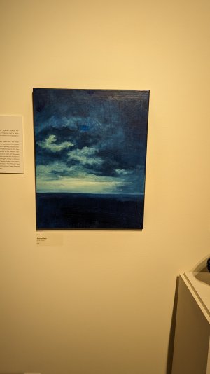 PXL_20240416_184452964.MP.jpg