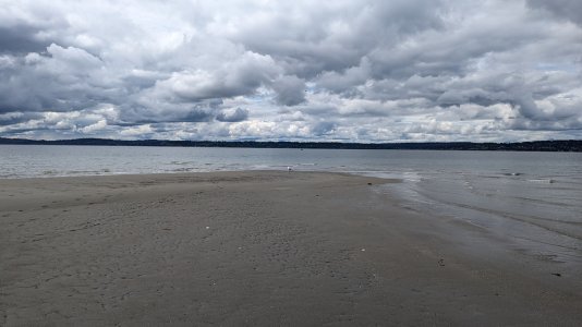 PXL_20240426_195829488.MP.jpg