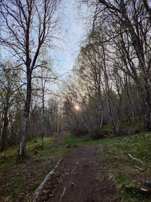 140386149.jpg