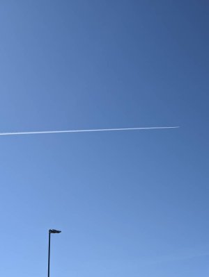 643703381.jpg