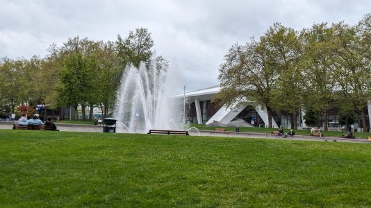 PXL_20240505_225149261.MP-.jpg