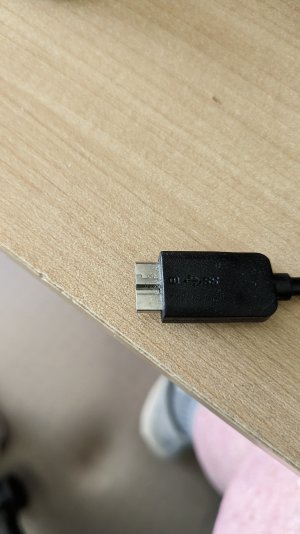 1000018883.jpg