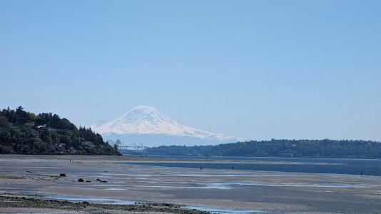 PXL_20240509_195153856.MP-.jpg