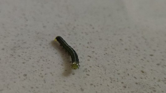 20240512_152043.jpg