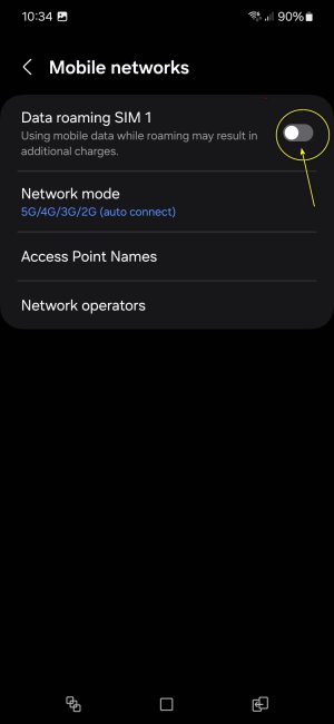 Settings_Mobile Network_Data Roaming.jpg