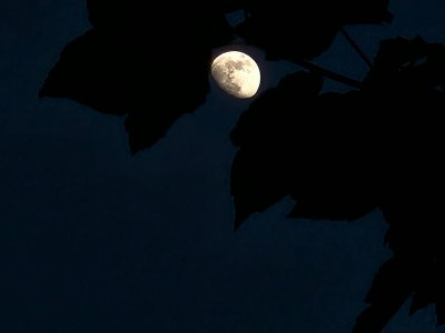 20240519_121618.jpg
