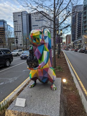 PXL_20240419_224951024.jpg