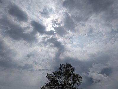 PXL_20240504_011439083.jpg