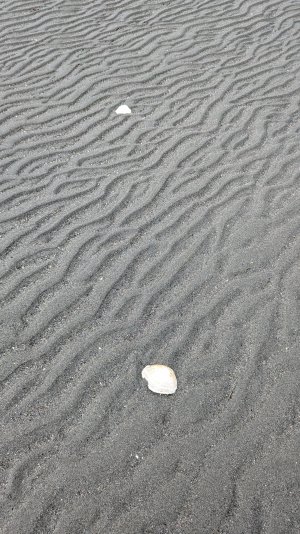 PXL_20240522_175714255.MP-.jpg