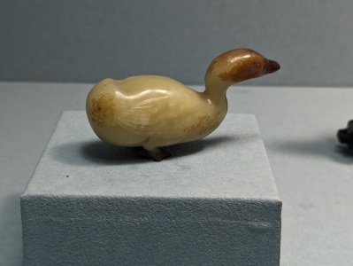 PXL_20240505_080557261.jpg