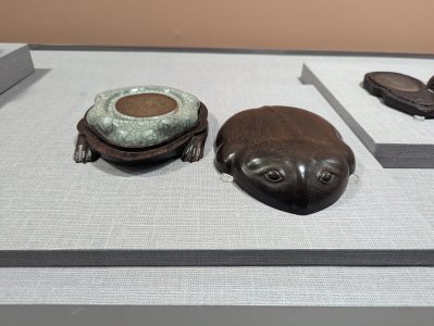 PXL_20240505_081508568.jpg