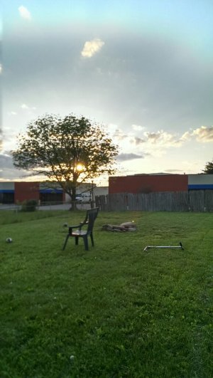 uploadfromtaptalk1368404244067.jpg