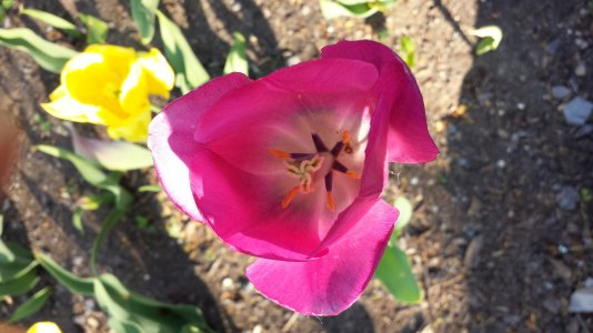 2013-05-19 17.31.46.jpg