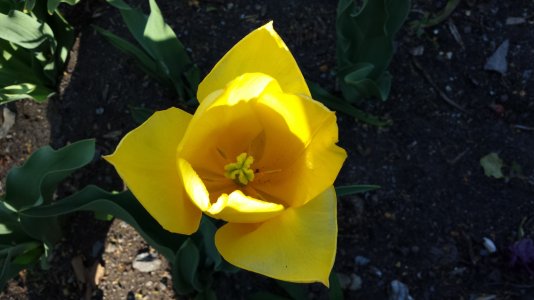 2013-05-19 17.32.23.jpg
