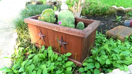 IMAG0106_1.jpg
