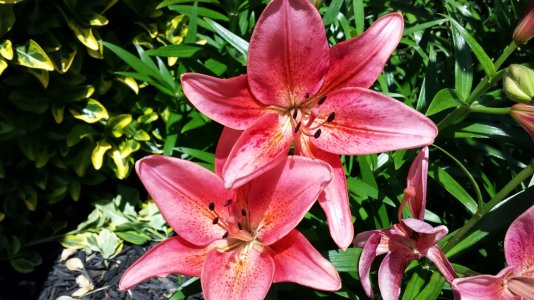 20130524_140455.jpg